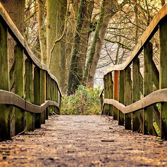 湖北诚艺木业有限公司 湖北诚艺木业有限公司